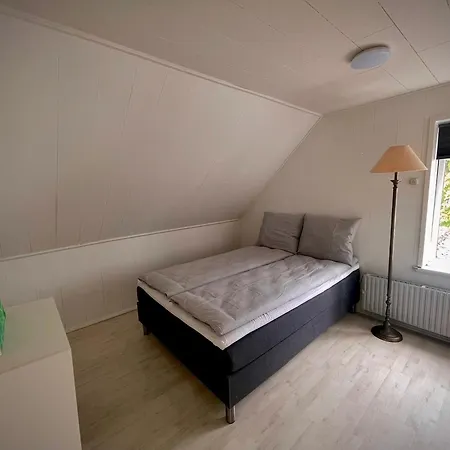 Charming In The Heart Of Hou Hals